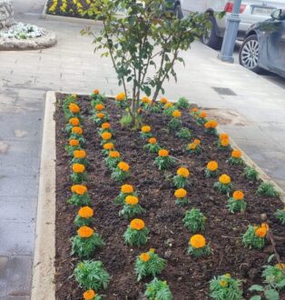 souliou-draseis-katharismou