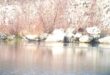 vidra-limni-ioannina