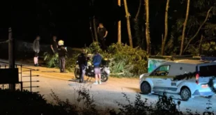 dentra-frontzos-ioannina-23-5