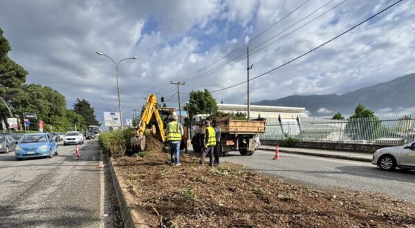 ergotaxio_prasino_limnopoula