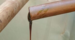 katrami-DISTRATO-KONITSAS