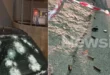 liosia_astynomia-pirovolismoi
