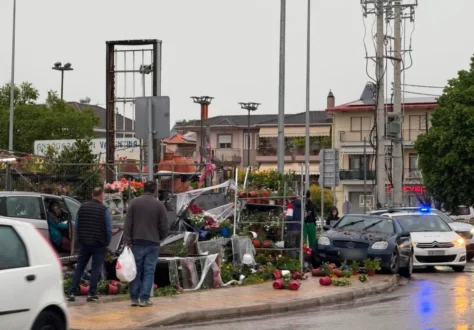 troxaio-louloudia-IOANNINA-9-5