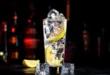 gintonic-poto