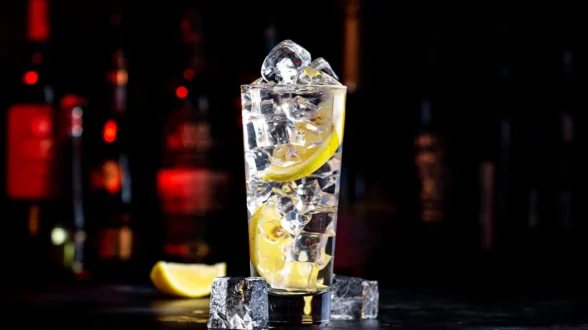 gintonic-poto