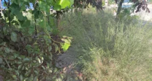 pezodromio-kIRGIOU-IOANNINA