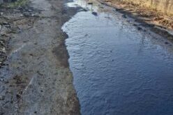 pissa-ergostasio-ioannina