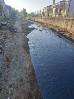 pissa-ergostasio-ioannina