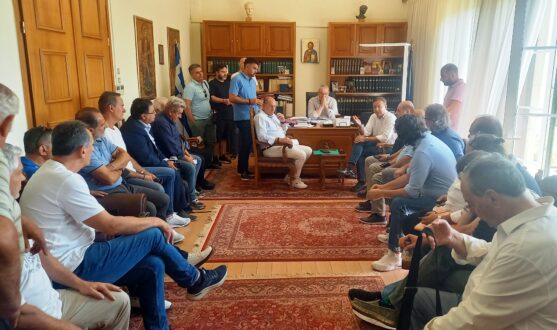 siskepsi-perifereia-pas-giannina