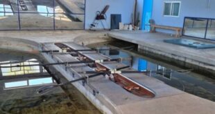 tsilis_kopilatIirio-ioannina