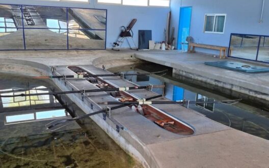 tsilis_kopilatIirio-ioannina