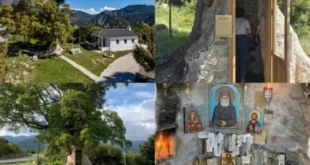 dentroklisia-agiou-paisiou