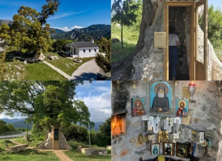 dentroklisia-agiou-paisiou