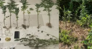 fiteia-narkotika-ioannina-18-7