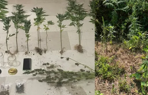 fiteia-narkotika-ioannina-18-7