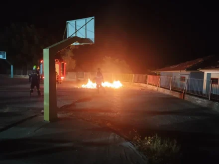 fotia-sxoleio-penteli-ioannina