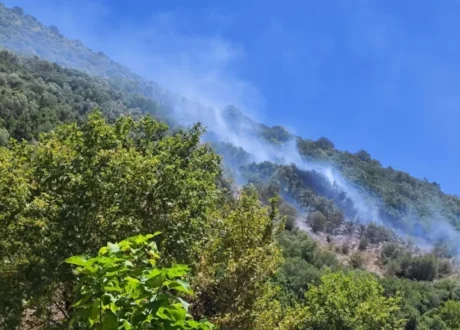 narkissos-fotia-parga