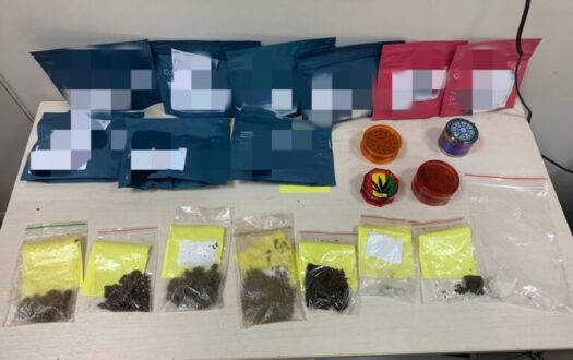 narkotika-preveza-16-7-768x483