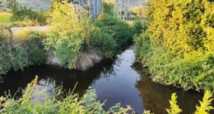 tafros-lapsistas-ioannina