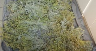 tsai-toy-vounoy-konitsa