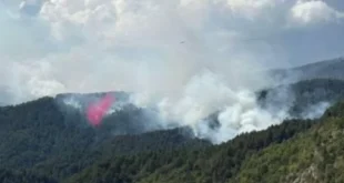 amarantos-igro-fotia