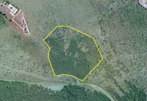 dasos-ligkiades-xartis