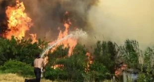 fotia-ellada-ethelontis