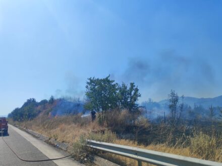 fotia-gymnotopos-preveza-13-8