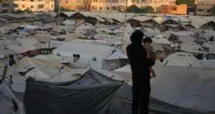 gaza_