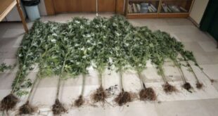 ioannina-narkotika-27-8