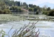 limni-noufara-ioannina
