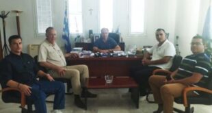 ntais-gioldasis-ped-ipeirou