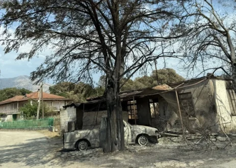 piroplikta-dimos-zirou