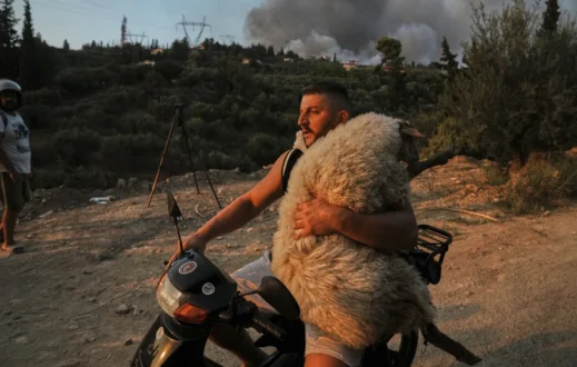 provato-andras-fotia