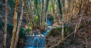 SARANTAPOROS-FRAGMATA