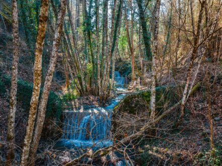 SARANTAPOROS-FRAGMATA