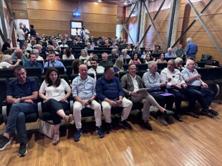 dimos-ioanniton-parousiasi-tps