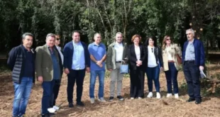 dourouti-dasos-panepistimio-antinero