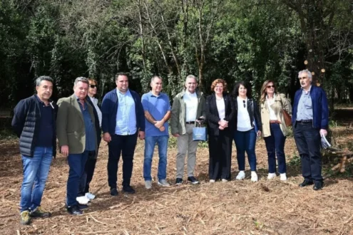 dourouti-dasos-panepistimio-antinero