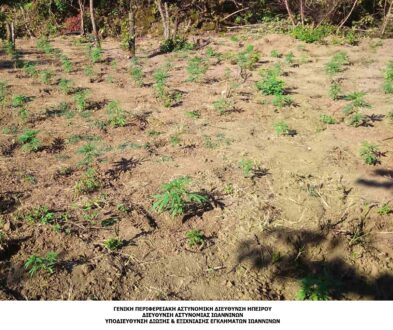 fyteia-kanavi-ioannina-14-10