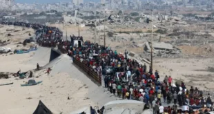 gaza-palaistinioi