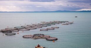 -ixthyokalliergies-768x432