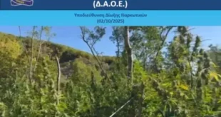 narkotika-kanavi-ioannina-3-10