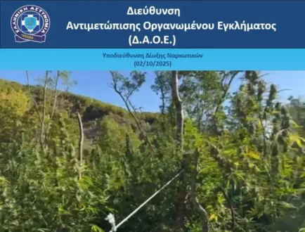 narkotika-kanavi-ioannina-3-10