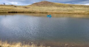 oreivatikos-sillogos-timfi