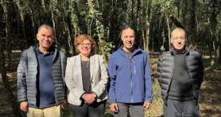 panepistimio-Antinero-amiras