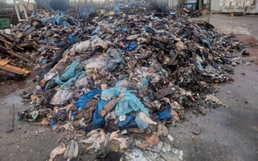 zoika-apovlita-gefyra-kalogyrou