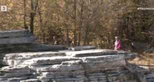 PETRINO-DASOS-MONODENRI