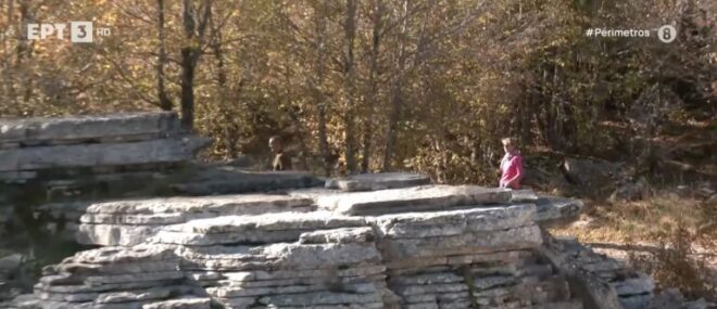 PETRINO-DASOS-MONODENRI