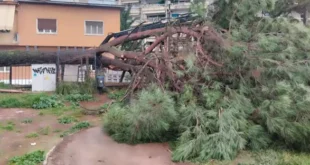 dentro-sxoleio-ioannina